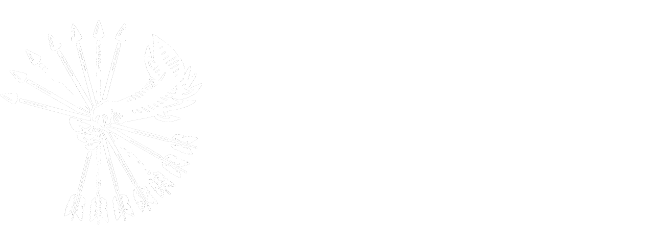 Renaissance Netherlands with Will Phillips